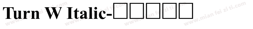 Turn W Italic字体转换